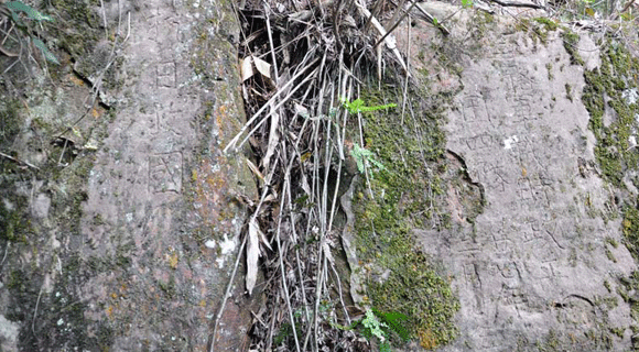 广西十万大山凤凰村发现疑似抗战时期遗迹