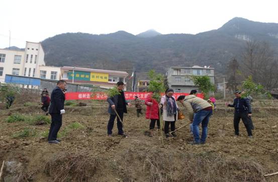 水城县乡镇、街道及部门开展植树活动