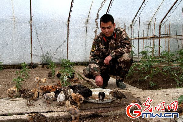 西藏亚东边防检查站农副业生产基地又添新成