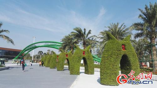 第九届广西园林园艺博览会在钦州举行