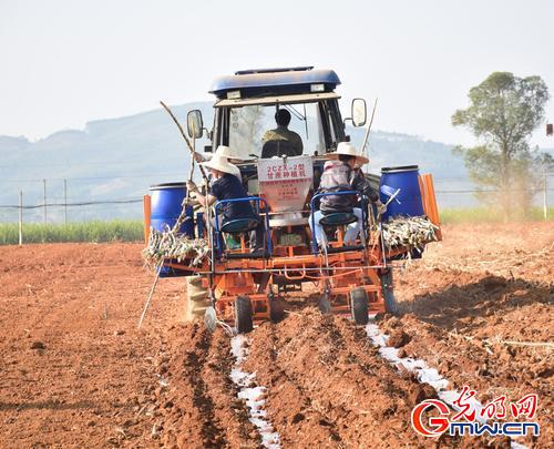 2016中国甘蔗机械化博览会在柳州举办