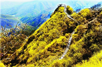 七峰山老总_七峰山风景区图片