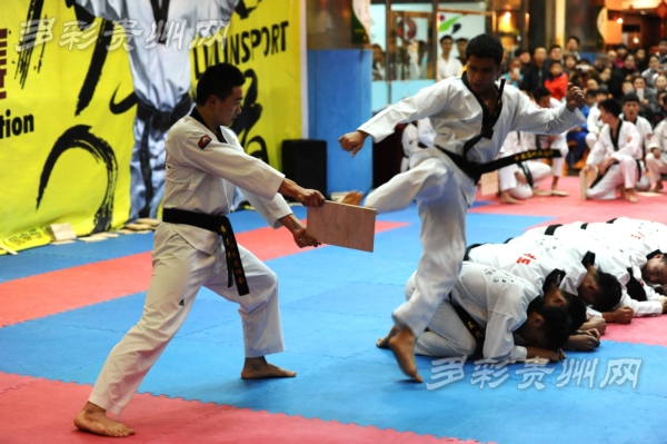 全国首个武道职业技能展示大赛在贵阳开幕