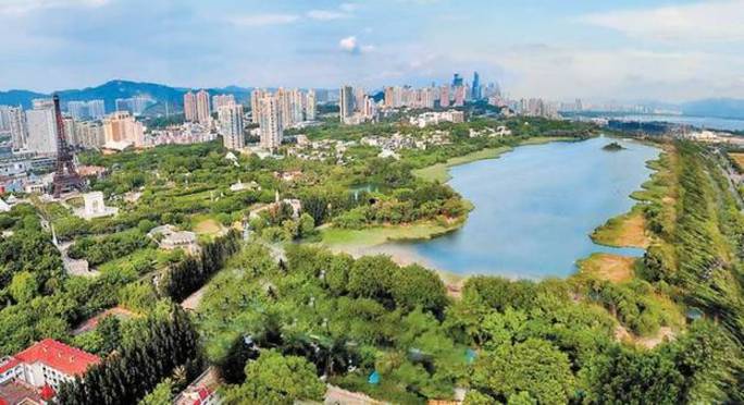 至2019年底,全市将建成 30条以上的花卉景观大道 20个以上的花卉特色公园 219个花漾街区 438个街心花园 营造大尺度山林花海景观 根据三年行动计划,深圳将构建一批花卉主题的生态景观林,形成大尺度生态花海景观。重点打造 梧桐山毛棉杜鹃花海、三洲田梅园花海、聚龙山四季花海等特色山体景观。 同时,开展97.