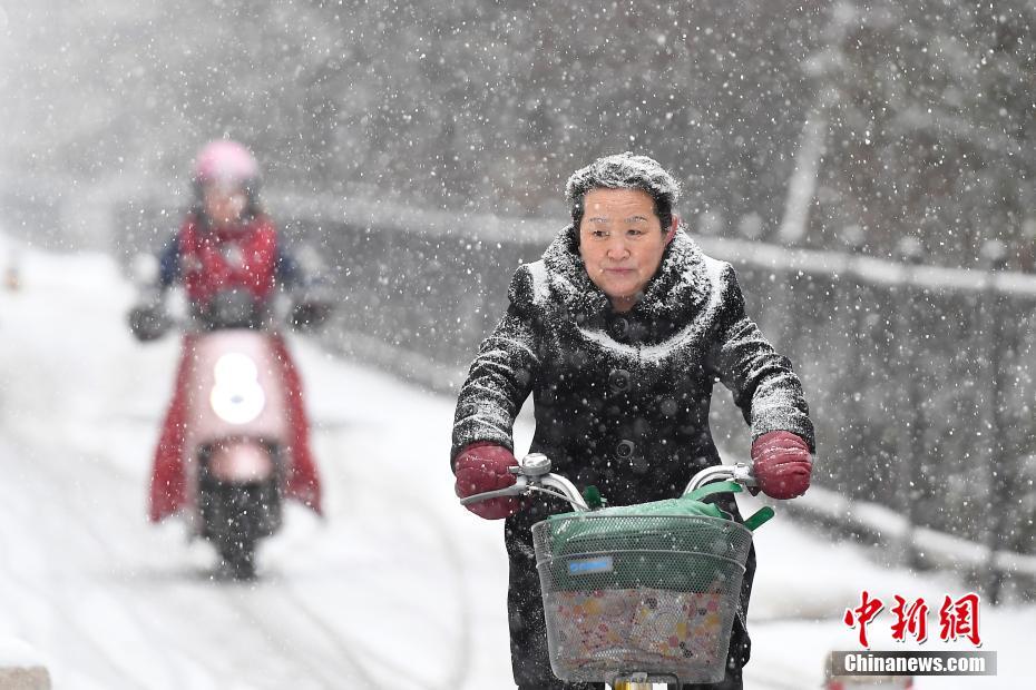 全国多地迎来降雪 太原大雪民众变 白头翁 (2)