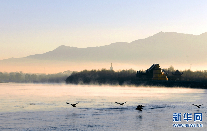 【春到青海】高颜值的贵德黄河 飞禽们的嬉