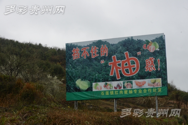 迪拜人均月收入_人均月收入9000元(3)