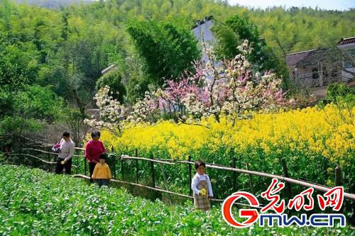 江苏宜兴太华镇赴沪推介天生丽质好风光