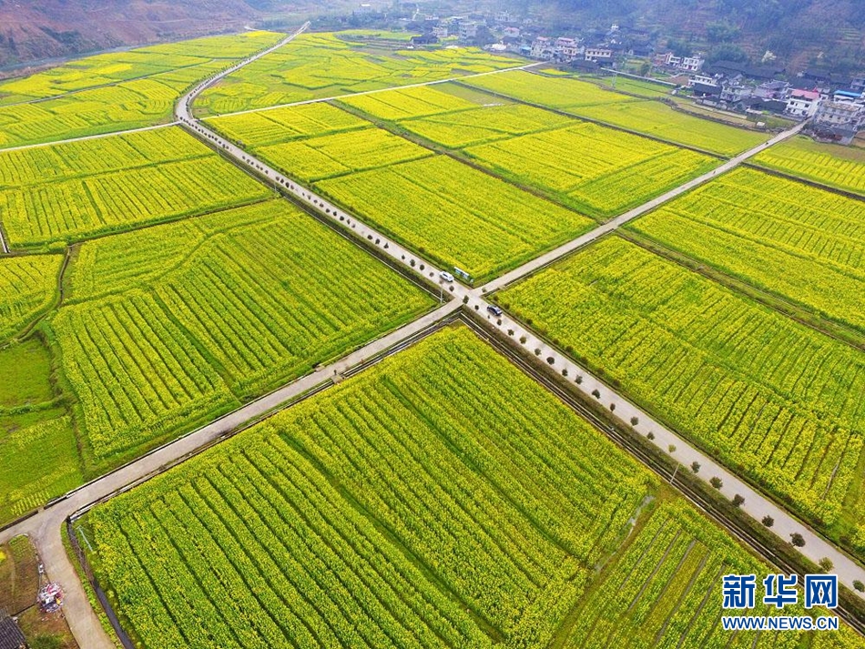 靛房镇人口_龙山县靛房镇风景区(3)