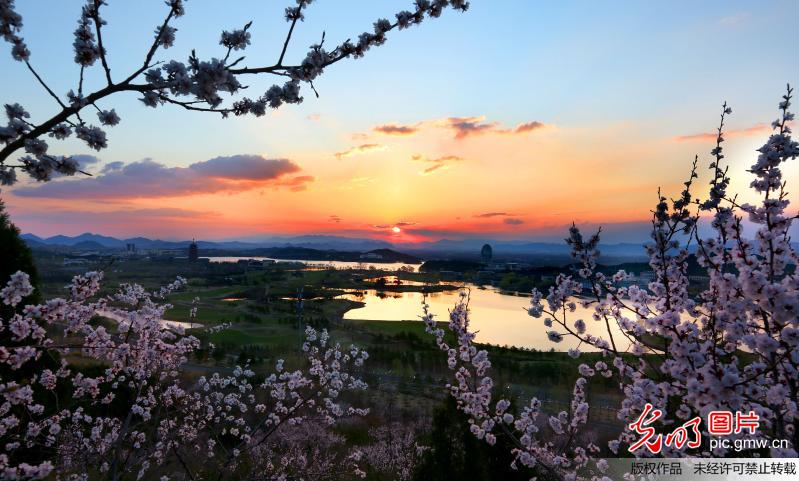 北京春花染美雁栖湖 山水迷人景如画