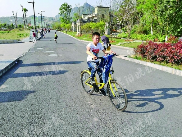 4万辆共享单车投入贵阳 将规范制度 依法管理
