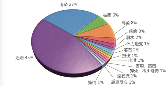 运动类型