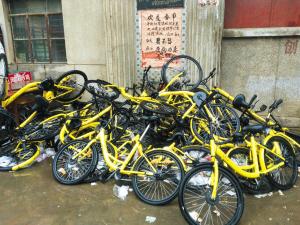 小黄车密码共享3角随便骑?ofo推出智能锁应对