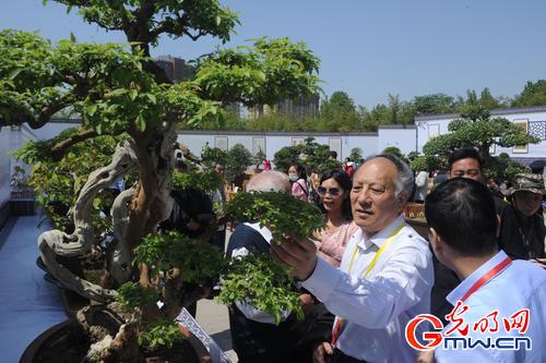 中国&middot;南阳第十四届玉雕节暨玉文化博览会开幕
