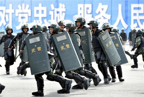 河北省公安机关警务实战化训练成果汇报大会在