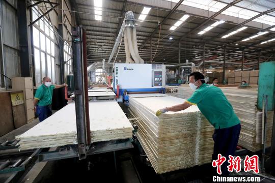 广西生态板走俏一带一路沿线国家