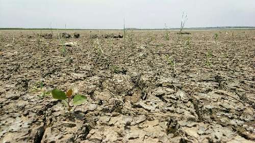 潍坊已开启降雨模式 胶东半岛还会远吗