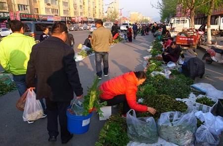 吉林通化县:绿水青山间的生态银行