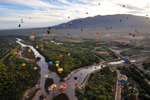 灵武将举办国内规模最大的卡通热气球节