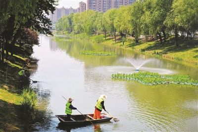 南京江宁中心河开展集中整治黑臭河成风景线