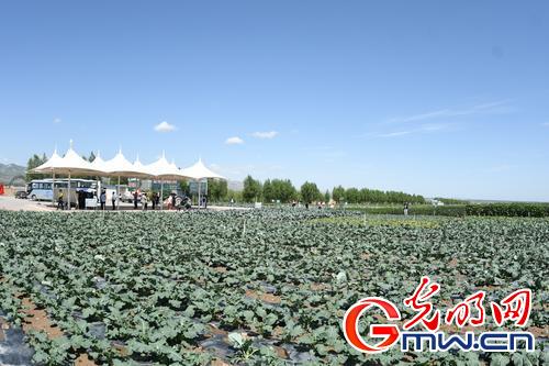 固原市经济增长总量_固原市地图