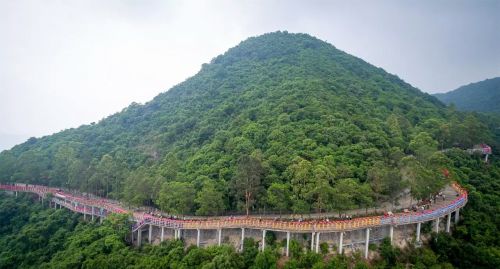 广东观音山：千磨万击还坚韧 矢志不渝生态梦