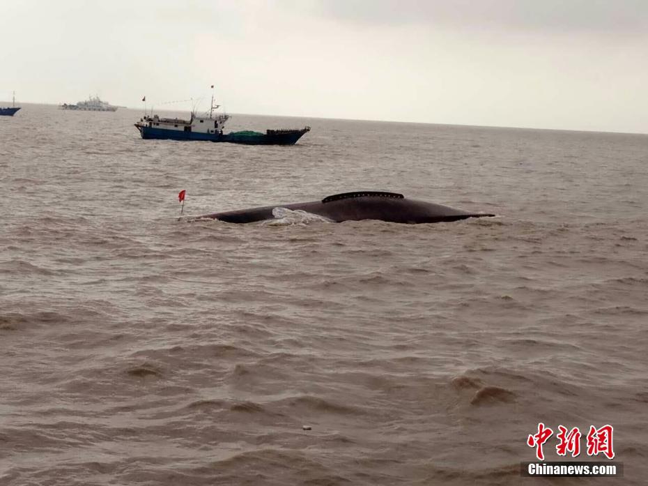 江苏盐城海域两渔船相撞一船翻扣 9人遇险(1)