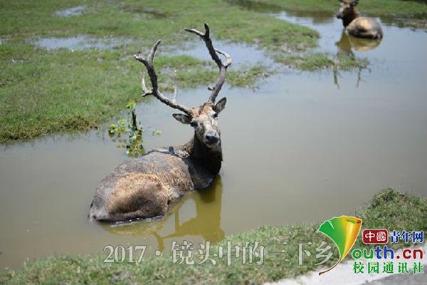 江苏大学生深入湿地调研 助力生态和谐发展