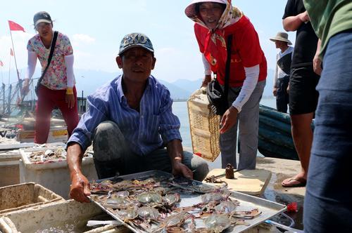青岛王哥庄特色渔村开海忙 港东第一捕新鲜上