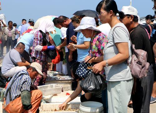 青岛王哥庄特色渔村开海忙 港东第一捕新鲜上