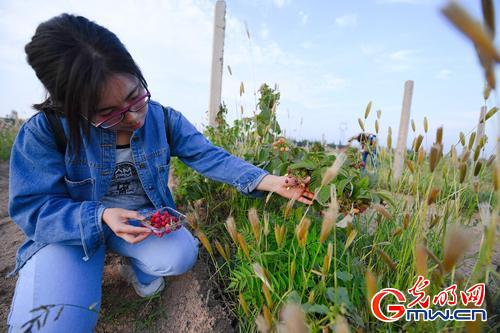 首届银川秋季农业嘉年华活动将于9月23日启幕