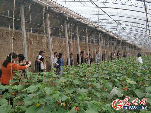 首届银川秋季农业嘉年华活动将于9月23日启幕