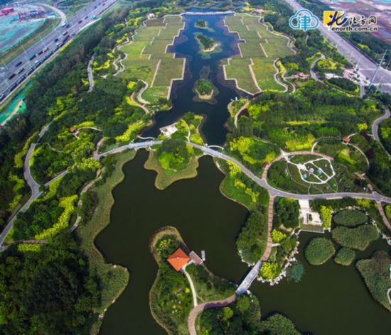 飞瞰天津湿地:临港湿地公园打造生态型工业区