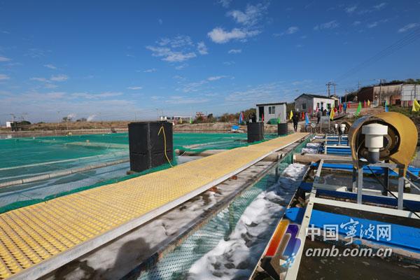 用海水池塘循环水养鱼 宁波一学校创新 跑道 养