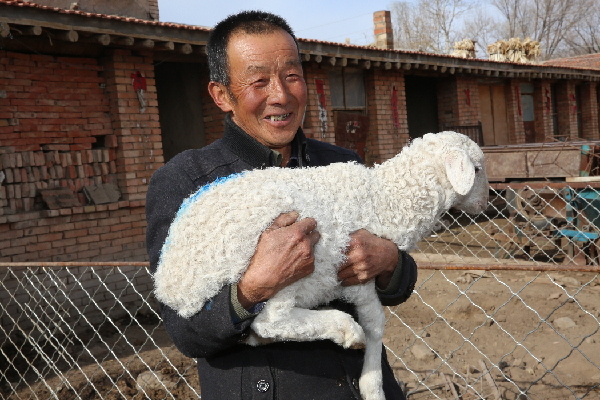 内蒙古四子王旗:打好精准扶贫牌 绘就脱贫致富