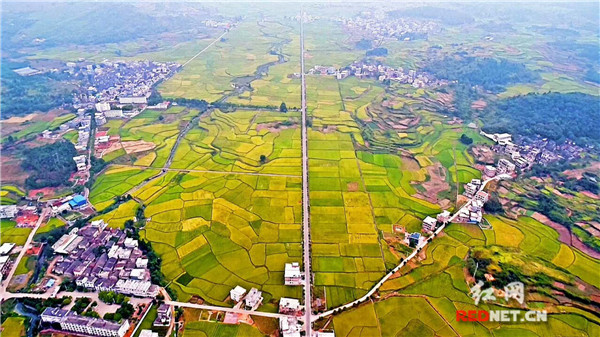 嘉禾GDP_嘉禾望岗图片