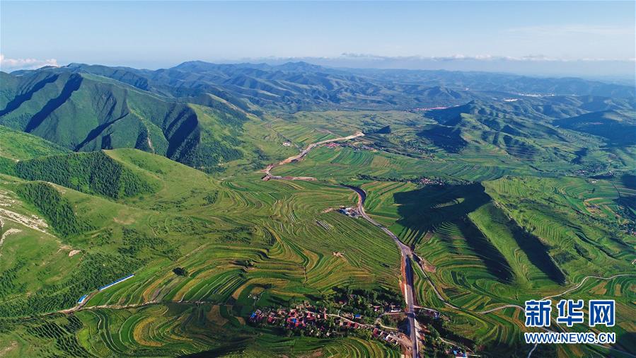 厨房油污遍地蜘蛛结网 长沙一无证私房菜馆被查