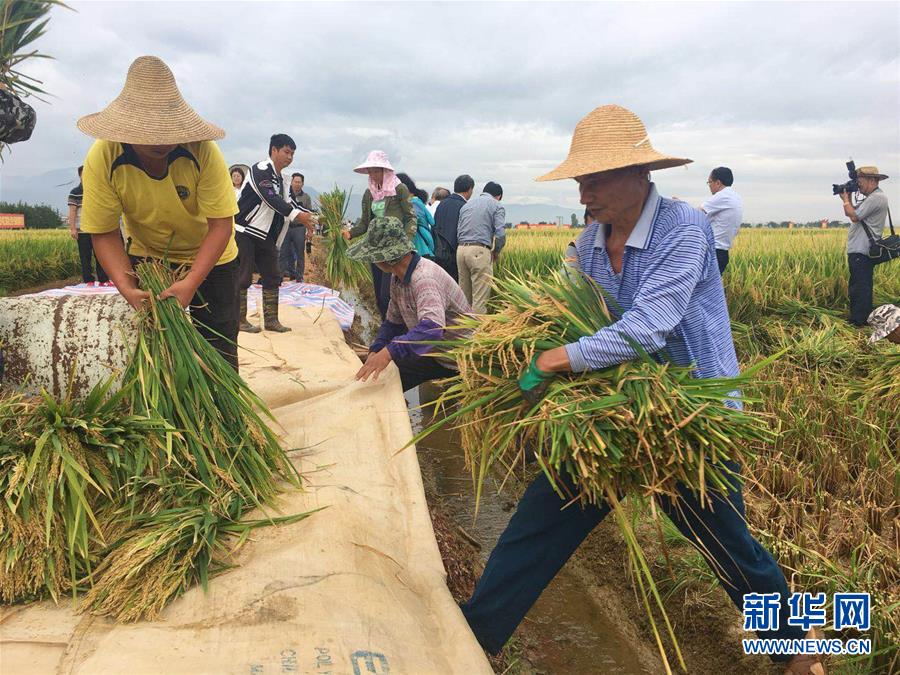 厨房油污遍地蜘蛛结网 长沙一无证私房菜馆被查