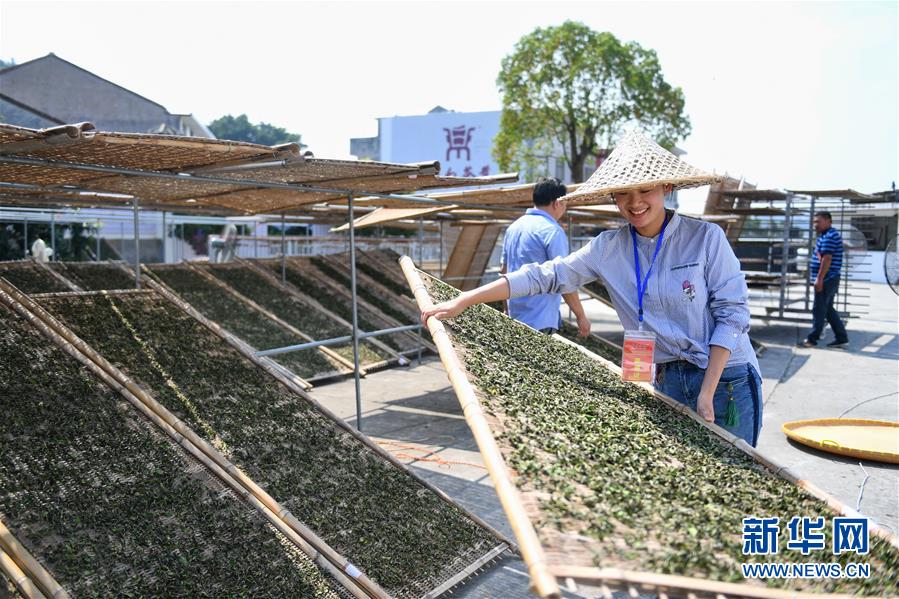 青岛市北区打造全国首个“绿色建设科技城”