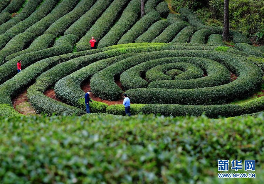 科技服务社会 中科院组团赴约高交会