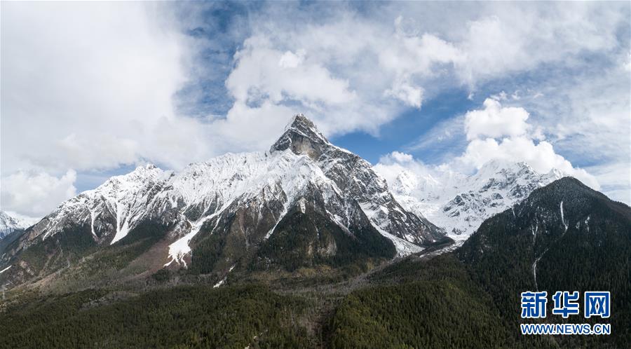 忠县将建数字产业职业技术学院 培养数字经济技能型实用人才