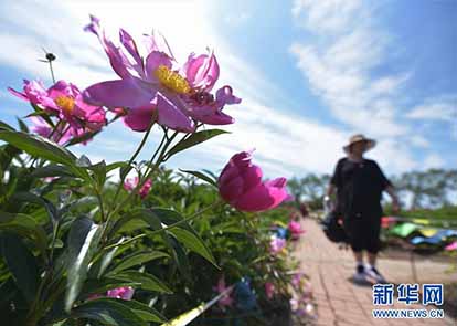 重庆市民爱阅读 情感类图书消费高于全国平均水平