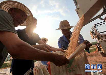 重庆市民爱阅读 情感类图书消费高于全国平均水平