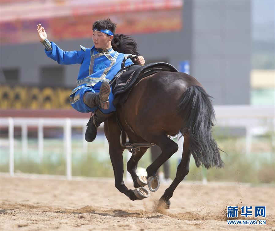 重庆市首次举办全国击剑赛事 全国500余名击剑高手决战忠县