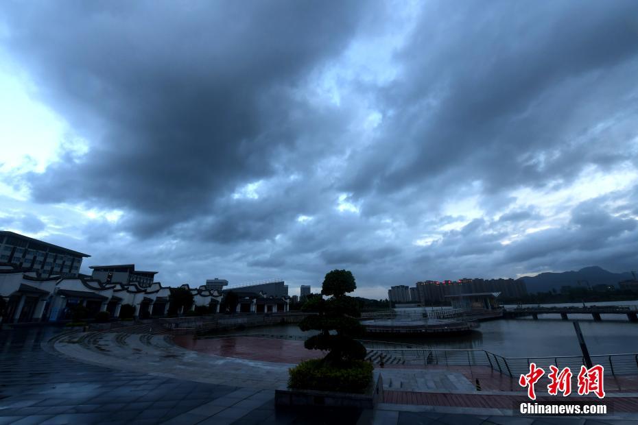 草根与国际大师同台，琴声飘荡宁波“音乐之城”