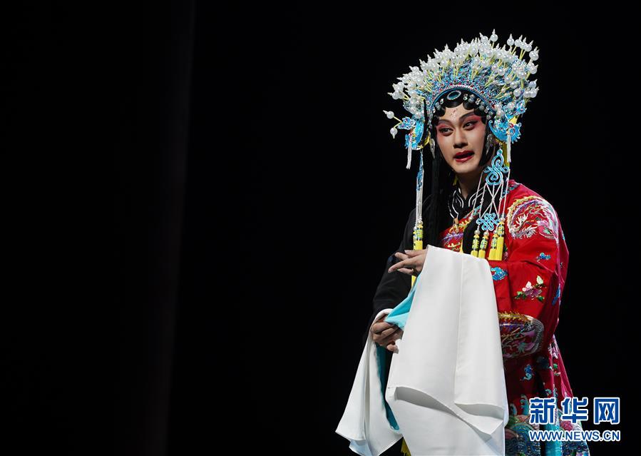 世界名校龙舟队海河竞渡 共庆“百年南开”