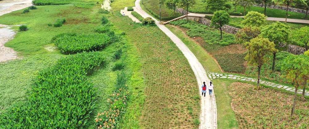 第二屆廣東省中小學青年教師教學能力大賽小學教育組總決賽在廣州落幕（最新发布）