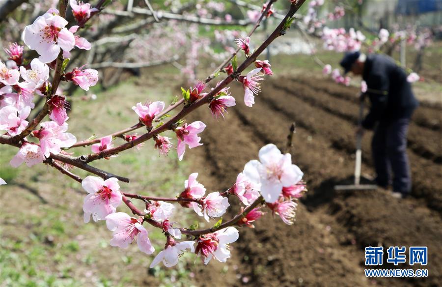 第二屆廣東省中小學青年教師教學能力大賽小學教育組總決賽在廣州落幕（最新发布）