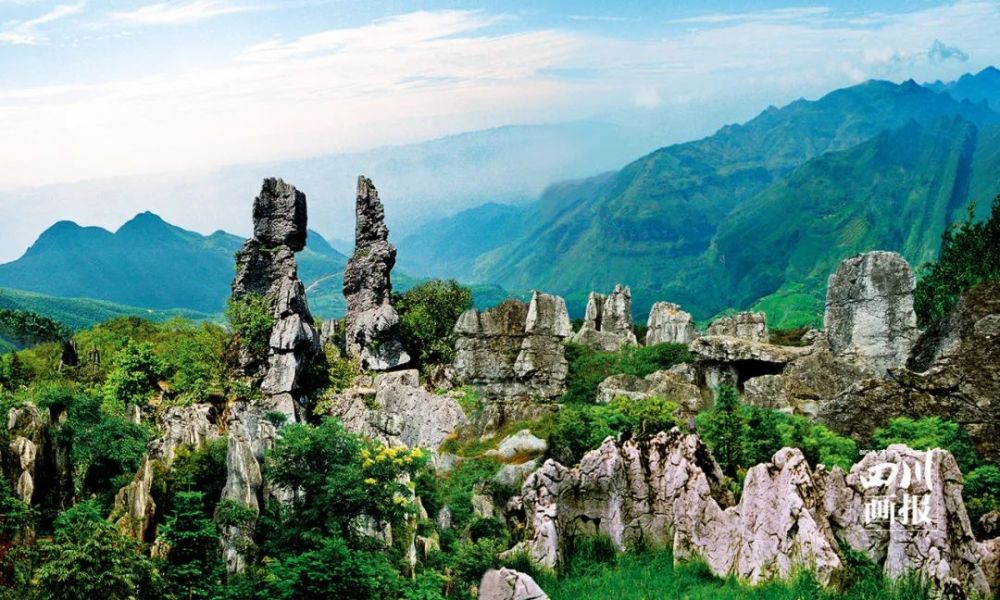 华蓥山石林犹如"天然盆景"