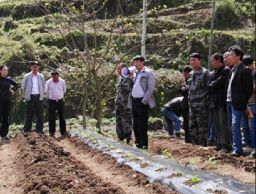 水城县农业局到精准扶贫点开展辣椒种植技术现